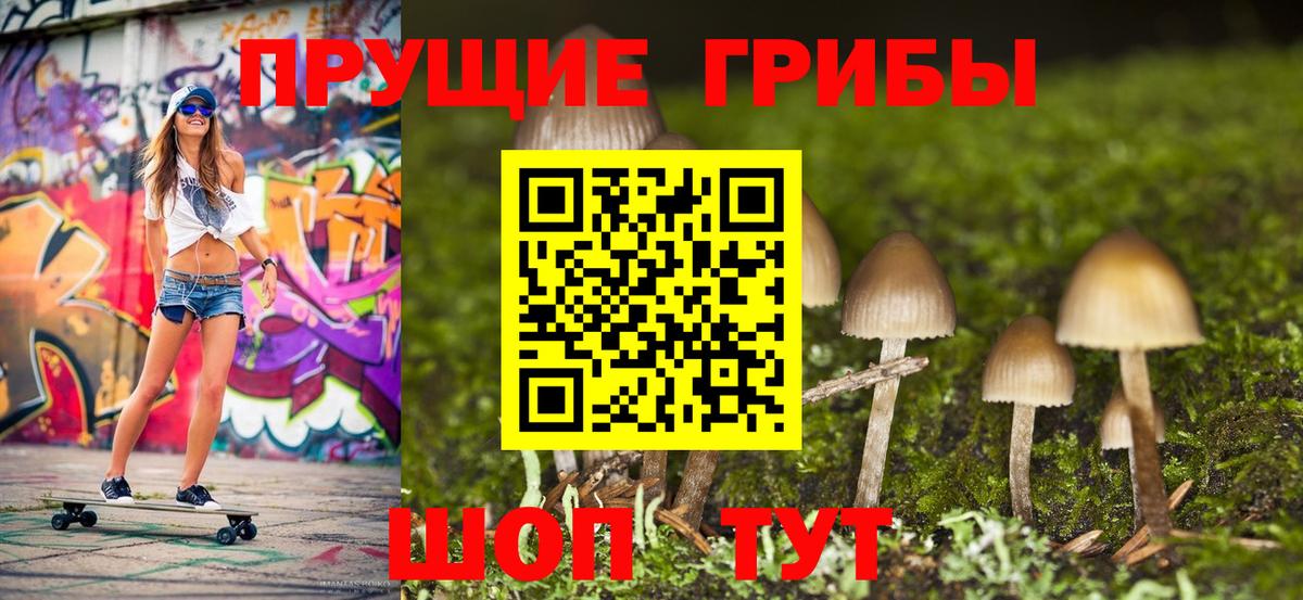 Псилоцибиновые грибы прущие грибы  Вход с VPN  Альметьевск  Галлюциногенные грибы ЛСД 